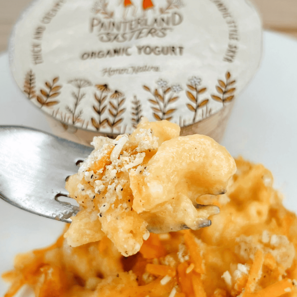 Creamy Skyr Mac & Cheese