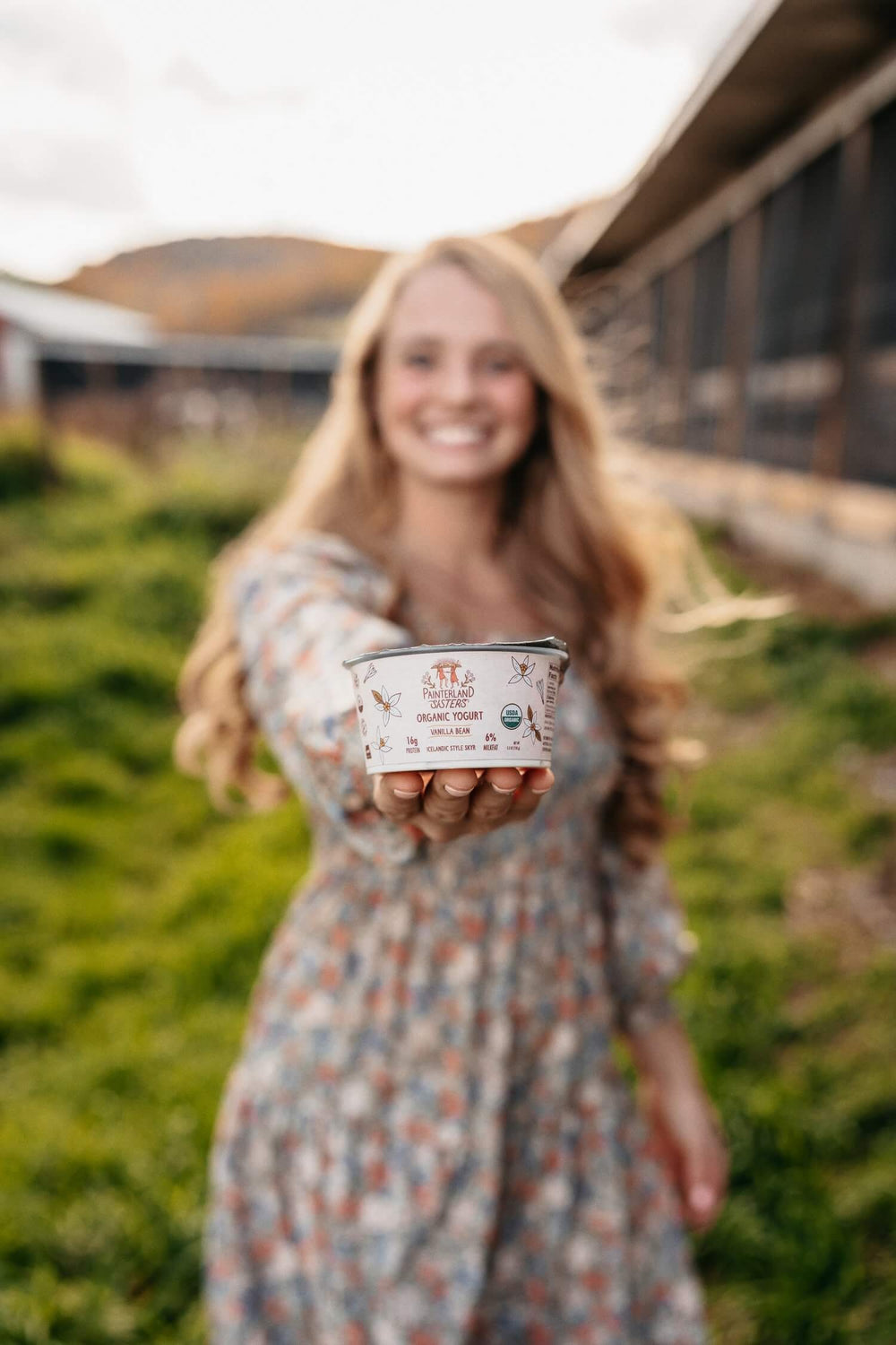 What is Skyr Yogurt?