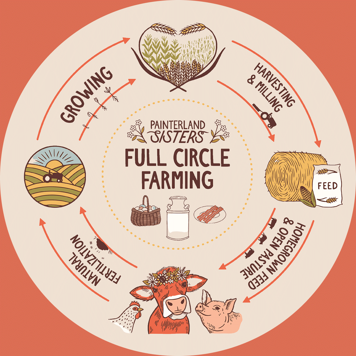 Infographic demonstrating Painterland Sisters Full Circle Farming process