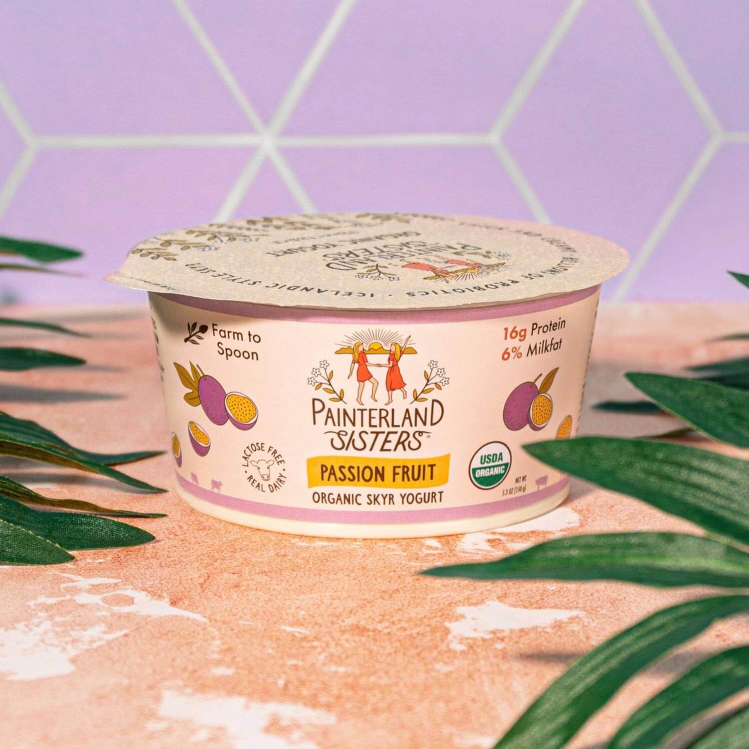 Painterland Sisters Passion Fruit Organic Skyr Yogurt cup on a countertop with leaves
