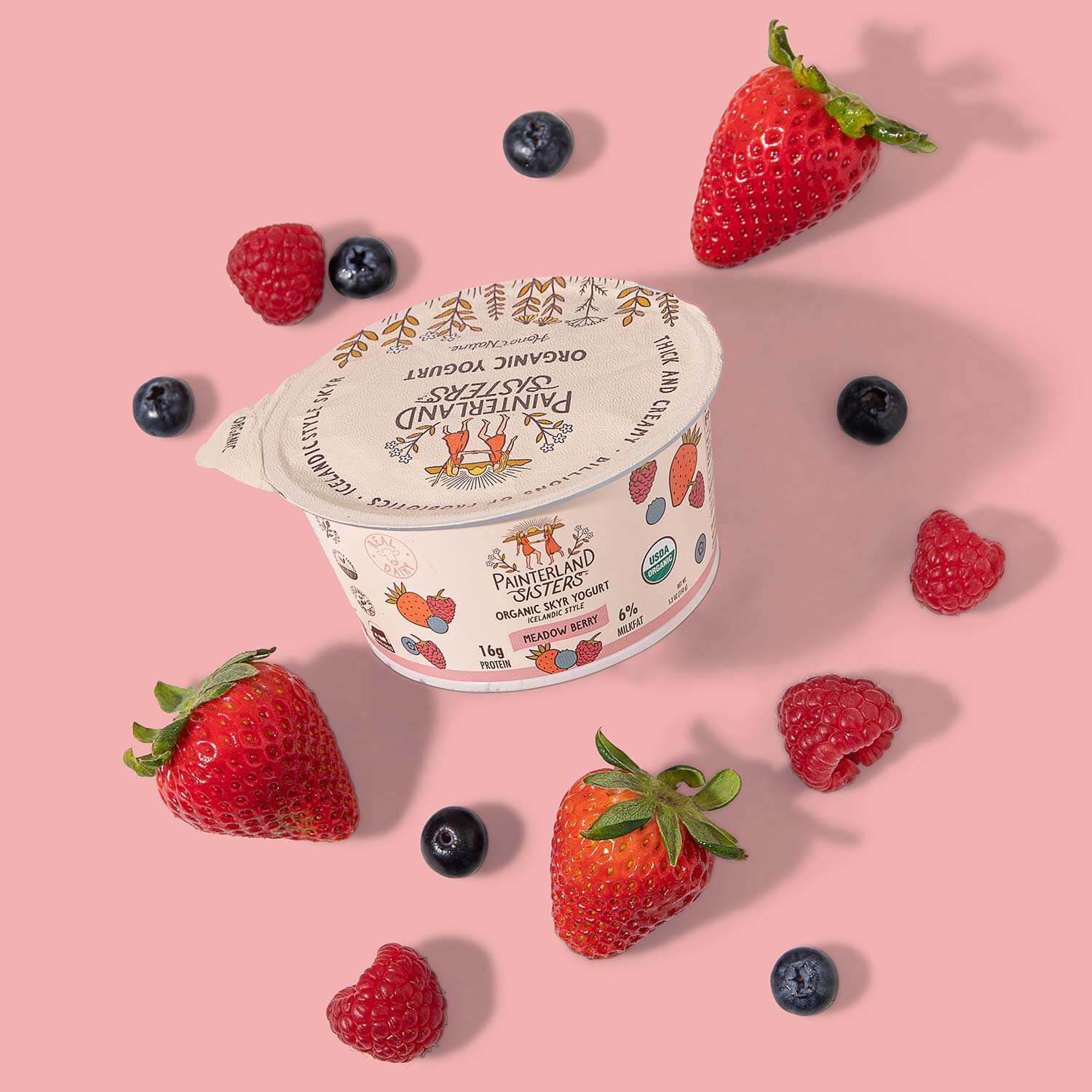 Cup of Meadow Berry Painterland Sisters organic skyr yogurt on a pink background surrounded by blueberries and strawberries