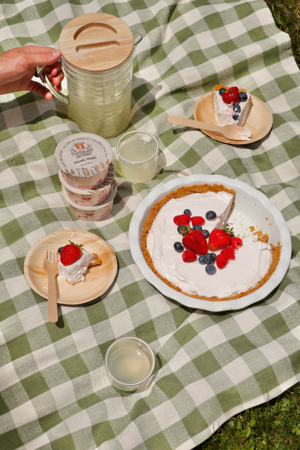 Meadow Berry Yogurt Pie