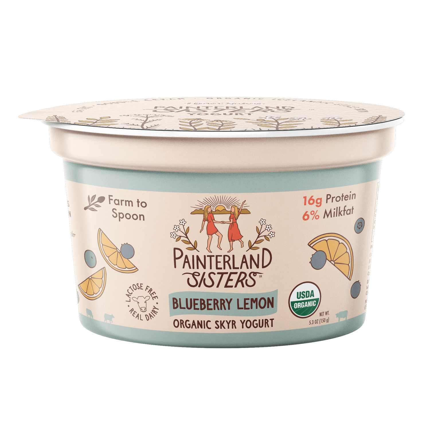Painterland Sisters Organic Wild Blueberry Icelandic Skyr