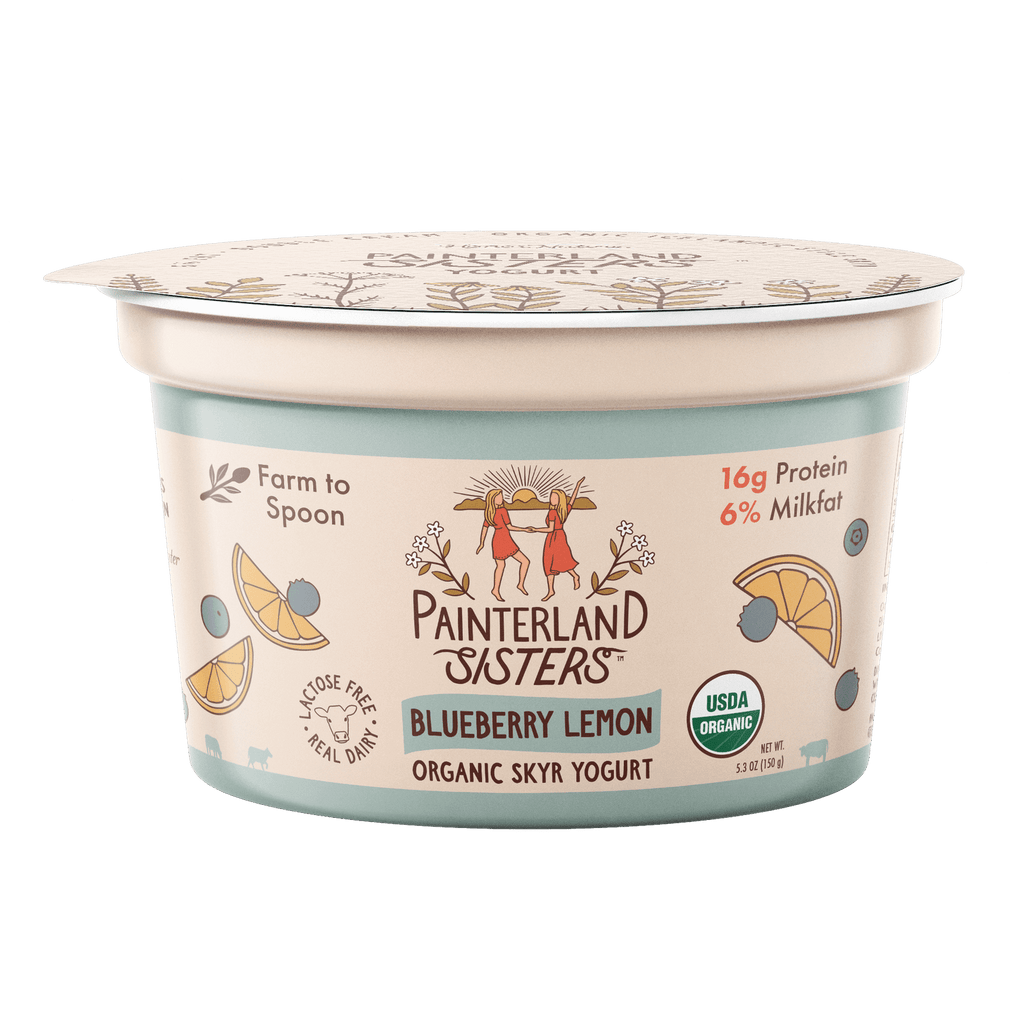 Painterland Sisters Blueberry Lemon Organic Skyr Yogurt - 5.3oz cup