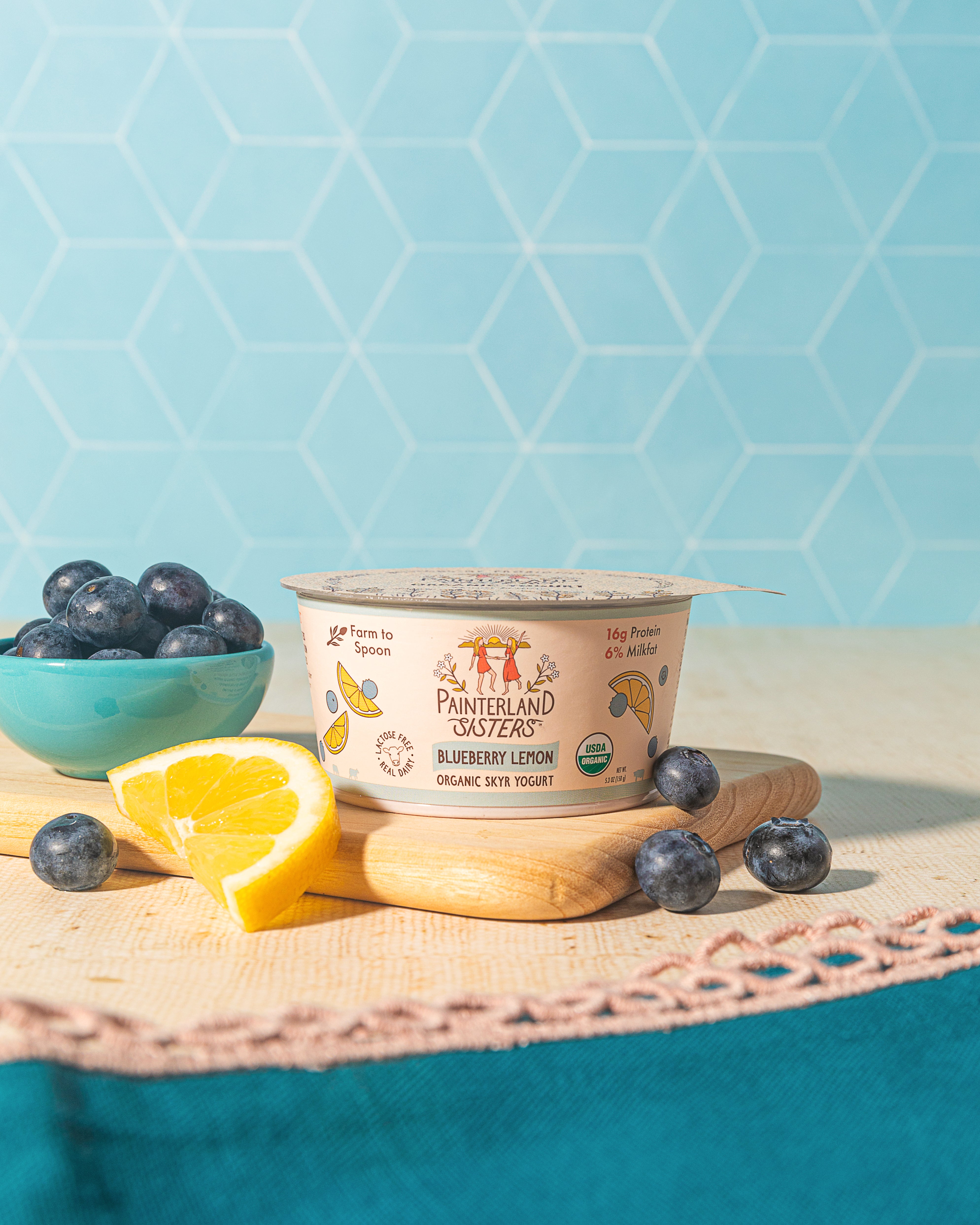 Blueberry Lemon Organic Skyr Yogurt (5.3oz) — Painterland Sisters