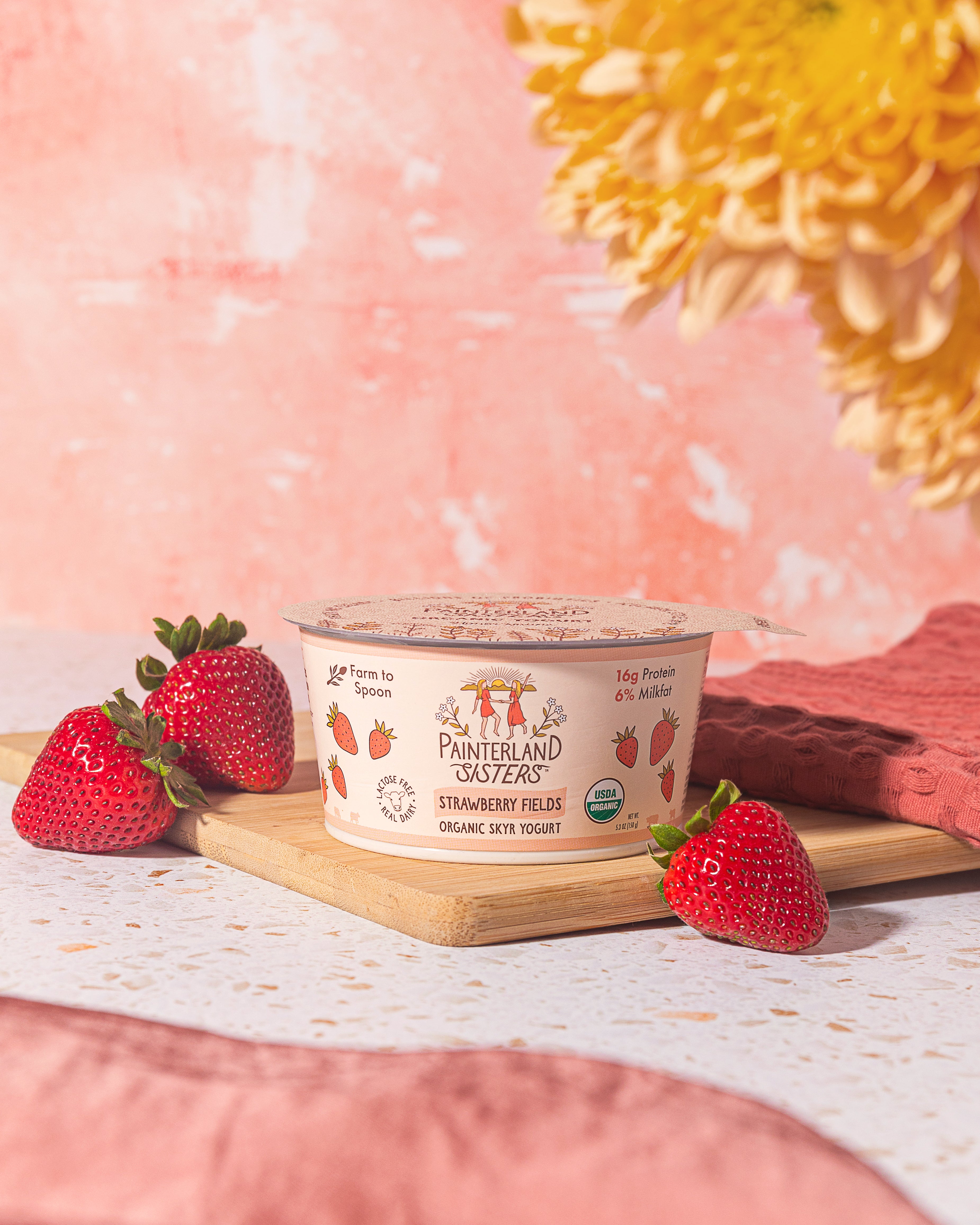 Painterland Sisters Strawberry Fields Organic Skyr Yogurt - 5.3oz cup