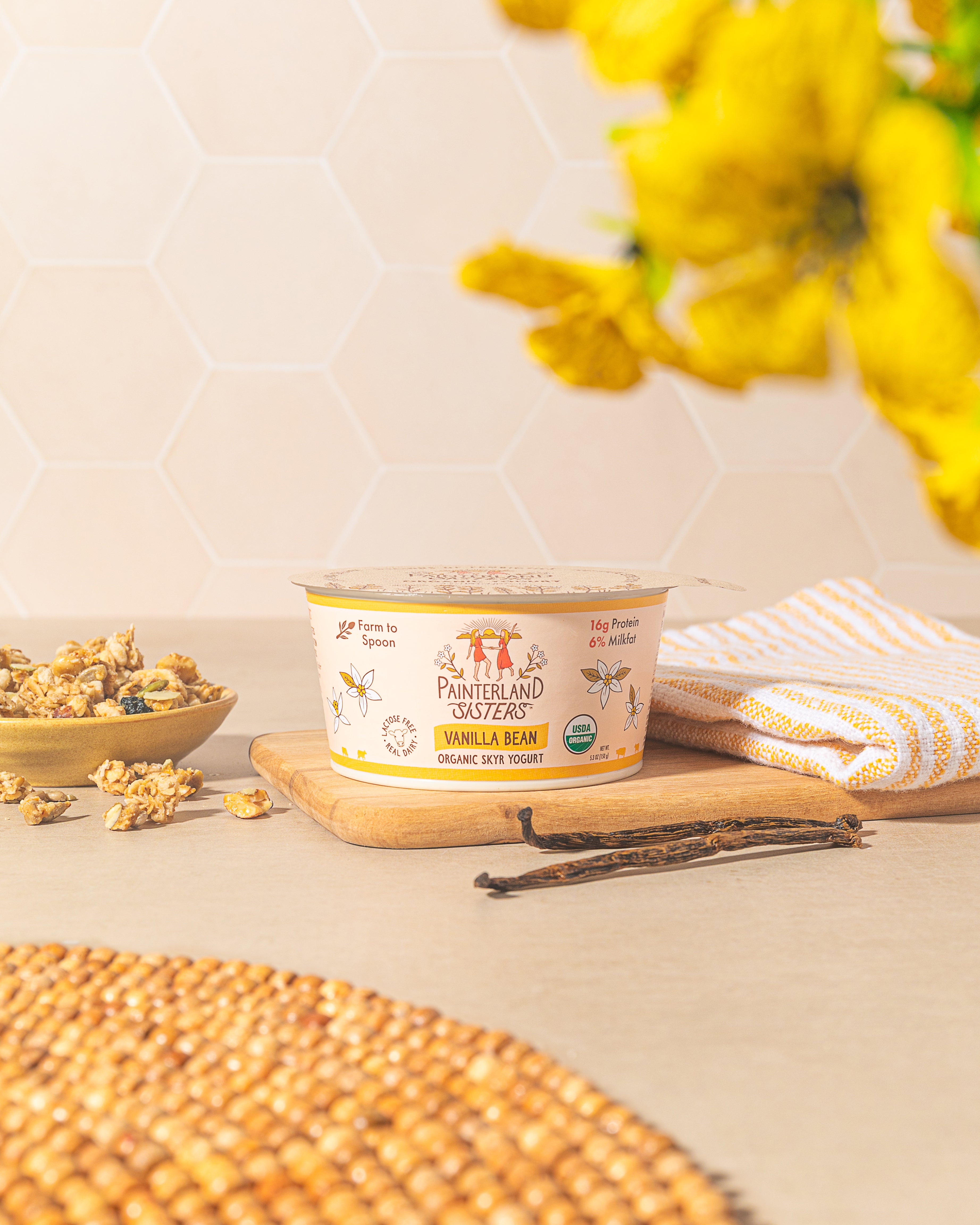 Painterland Sisters Vanilla Bean Organic Skyr Yogurt - 5.3oz cup