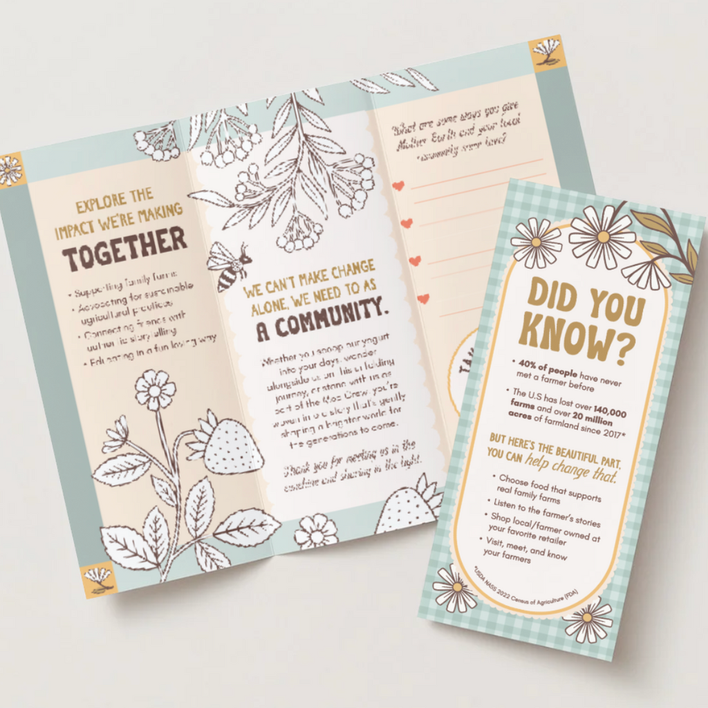 Impact Brochure