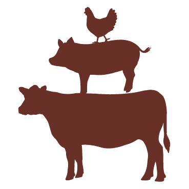 Farm Animals