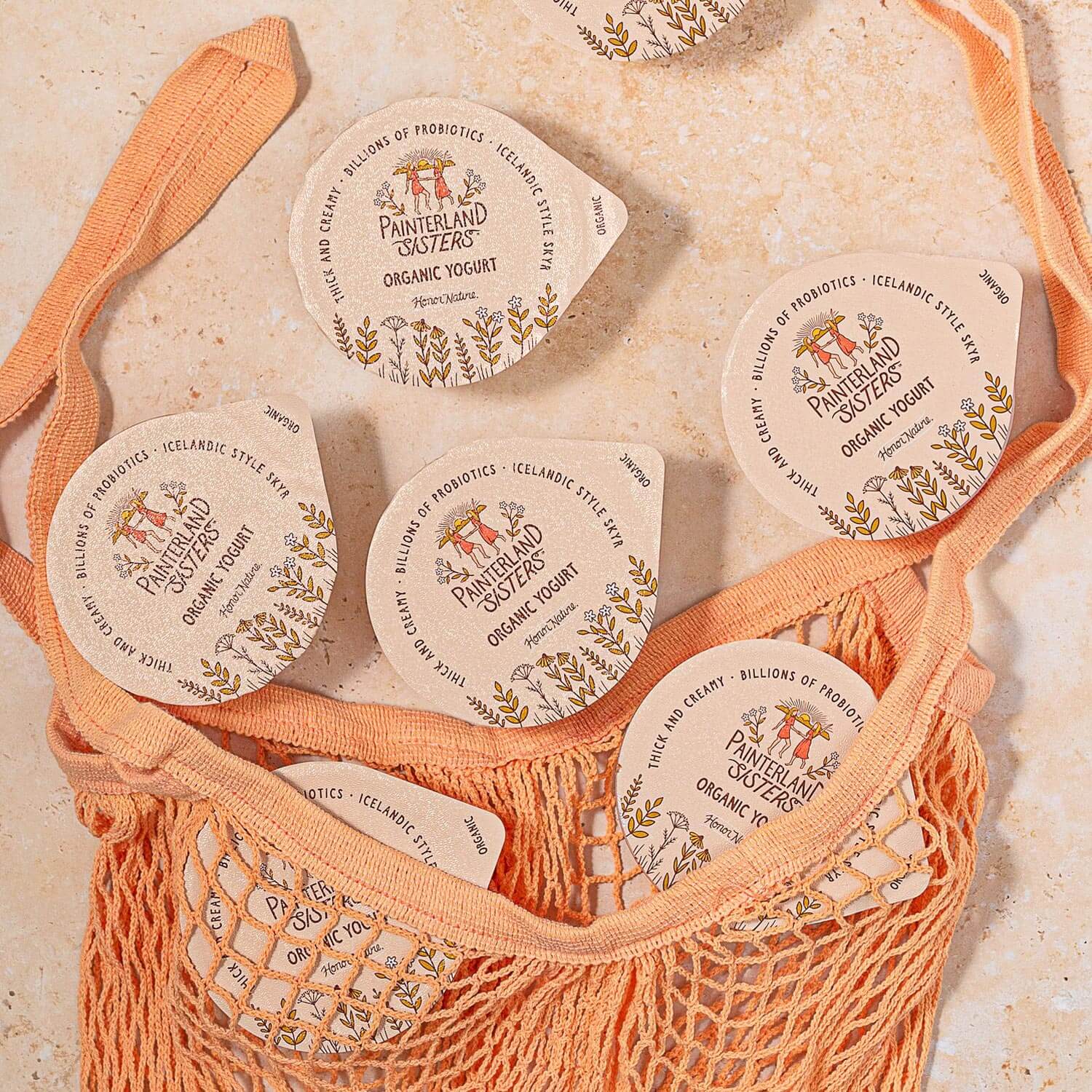 Painterland Sisters Savannah's Peach Organic Skyr Yogurt - 5.3oz cup