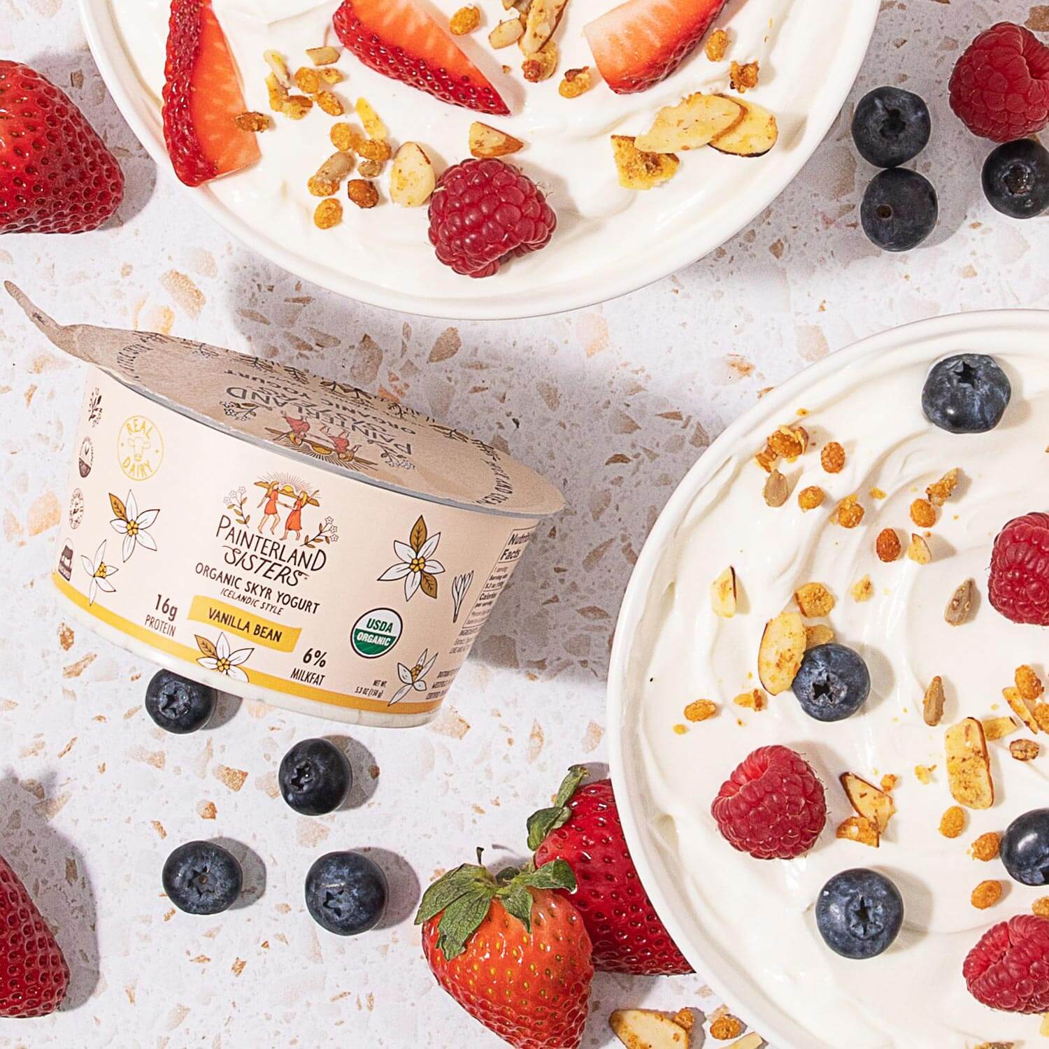 Painterland Sisters Vanilla Bean Organic Skyr Yogurt - 5.3oz cup