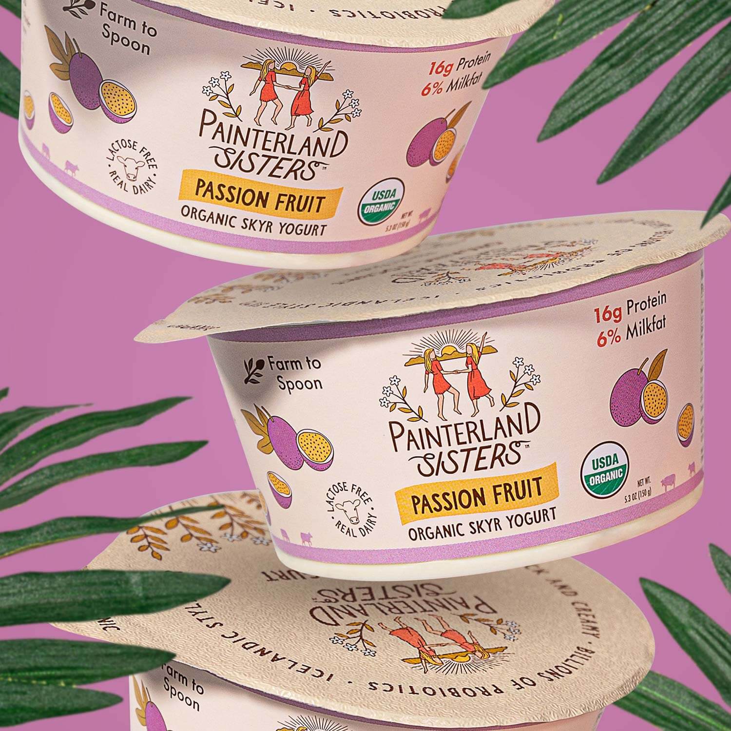 Painterland Sisters Passion Fruit Organic Skyr Yogurt - 5.3oz cup