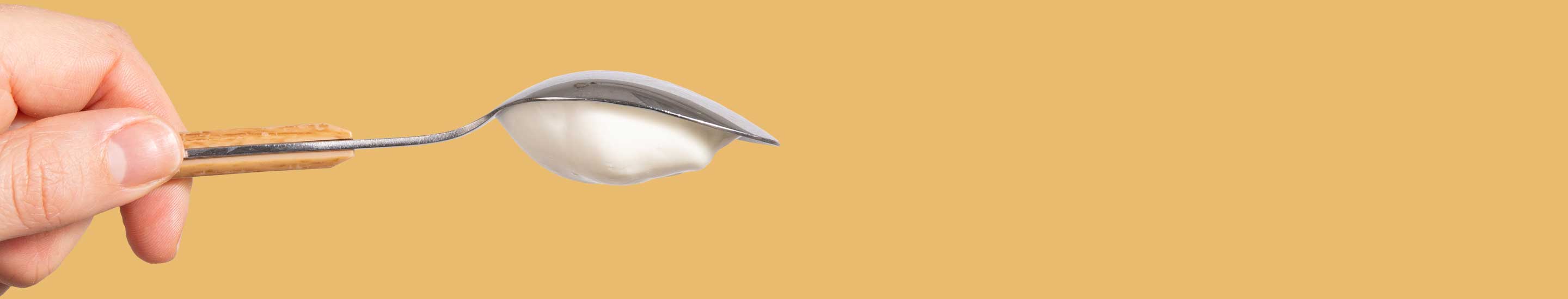 Hand holding spoon of Painterland Sisters yogurt upside down, showing how thick and creamy it is